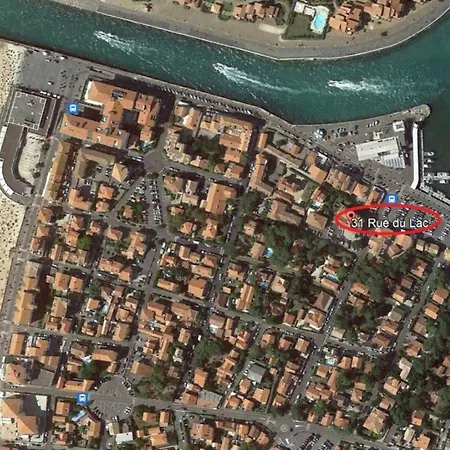 Cosy - La A Pied Daire *